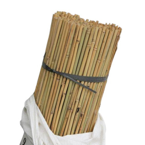 5ft Canes pack of 10