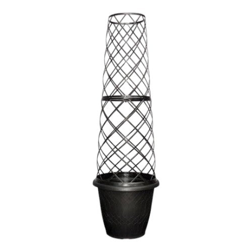 Cage Planter Empire Jumbo 38cm Brushed Champagne