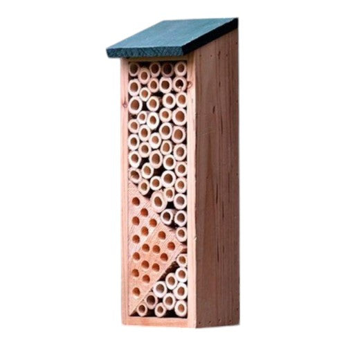 Solitary Bee and Wasp House