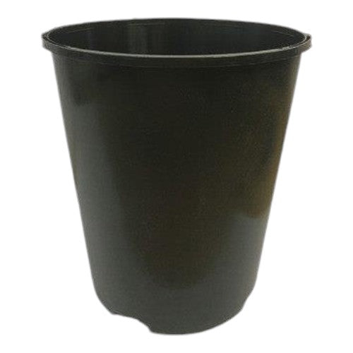 Square Black Plastic Deep Rose Plant Flower Pot 2L x10