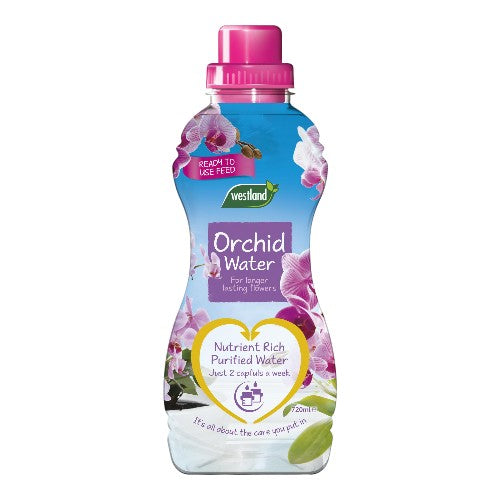 Westland Orchid Water