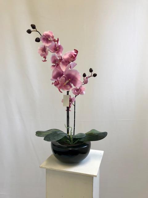 Pink Orchid in Bowl