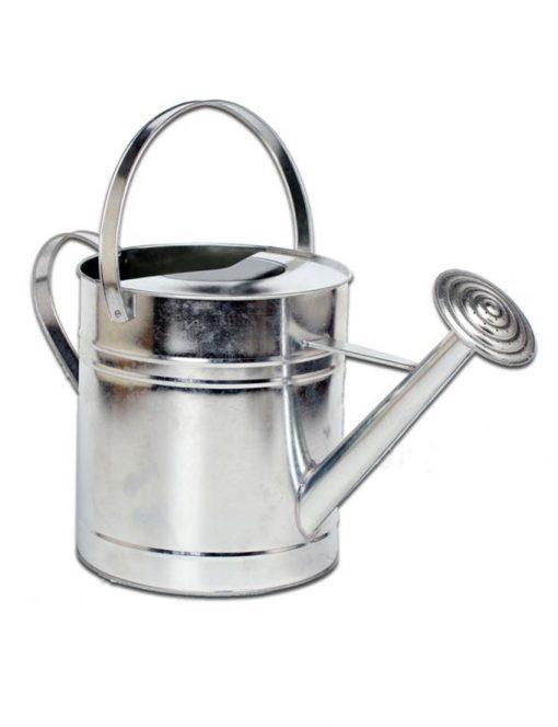 10L Galvanised Watering Can