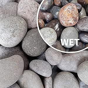 Decorative Scottish Beach Pebbles 50-30mm 25kg